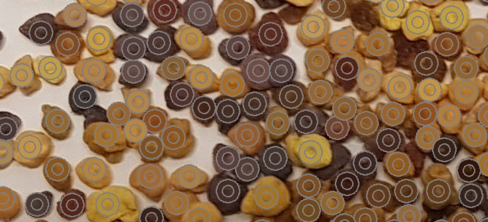 Optimizing Biodiversity Monitoring with Pollenyzer: A Breakthrough ...